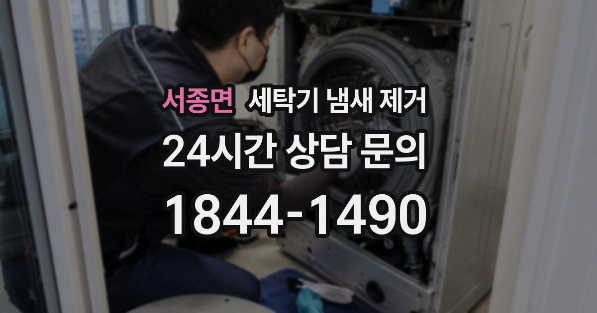 서종면 세탁기 냄새 제거