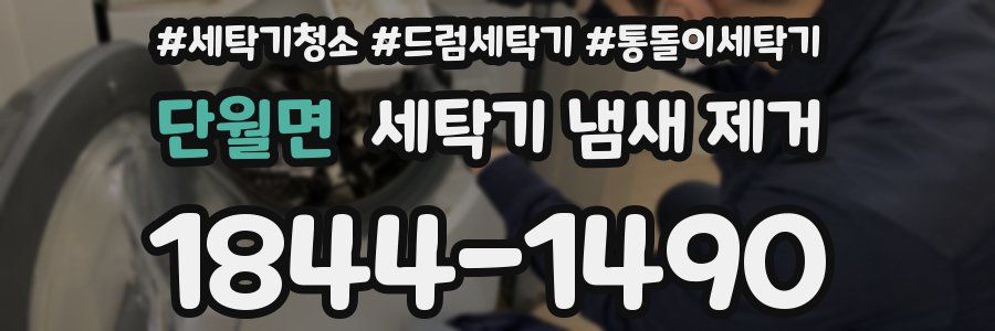 단월면 세탁기 냄새 제거