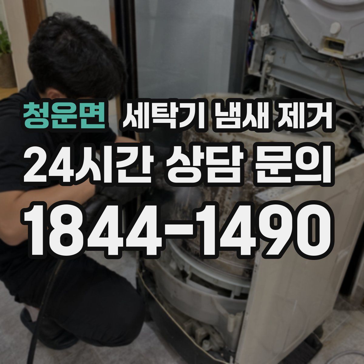 청운면 세탁기 냄새 제거