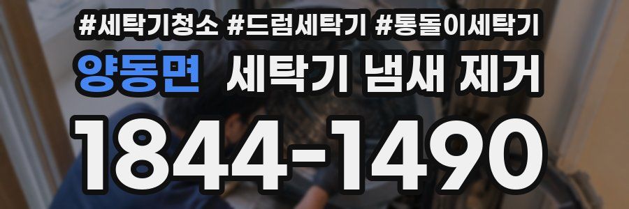 양동면 세탁기 냄새 제거