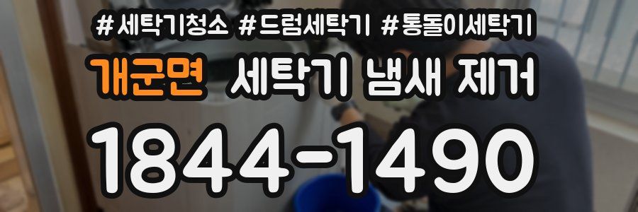 개군면 세탁기 냄새 제거