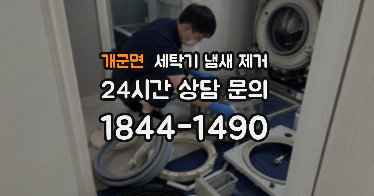 개군면 세탁기 냄새 제거