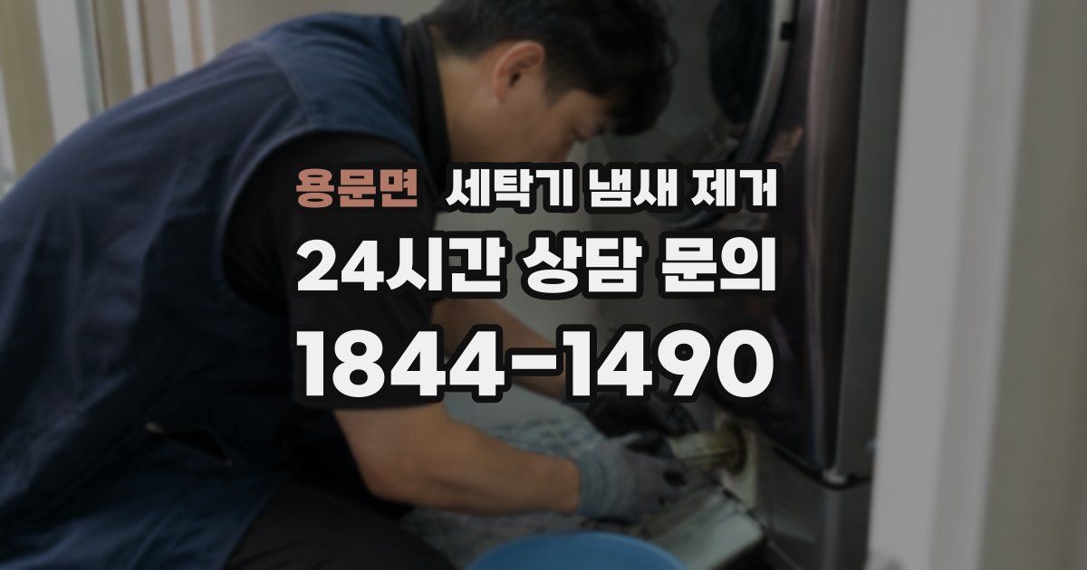 용문면 세탁기 냄새 제거