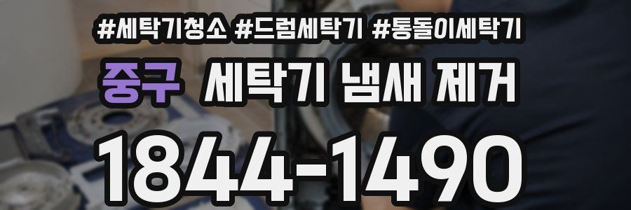 중구 세탁기 냄새 제거