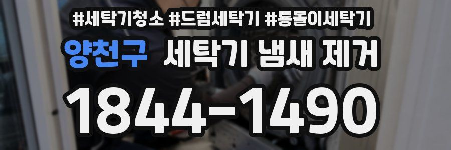 양천구 세탁기 냄새 제거