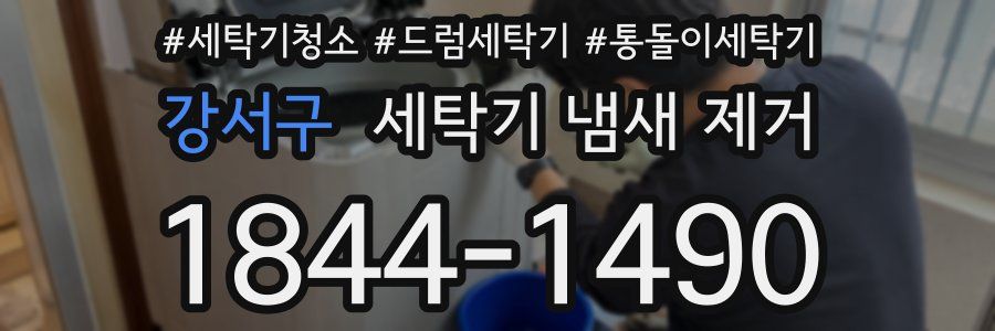 강서구 세탁기 냄새 제거