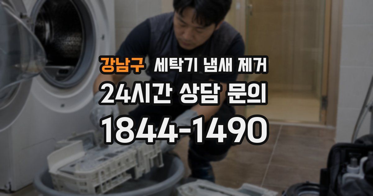 강남구 세탁기 냄새 제거