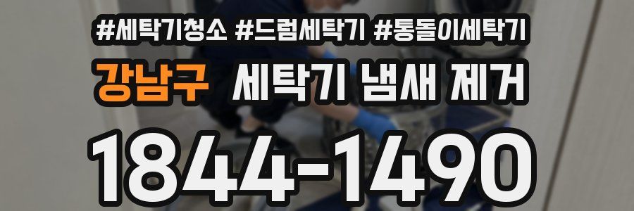 강남구 세탁기 냄새 제거