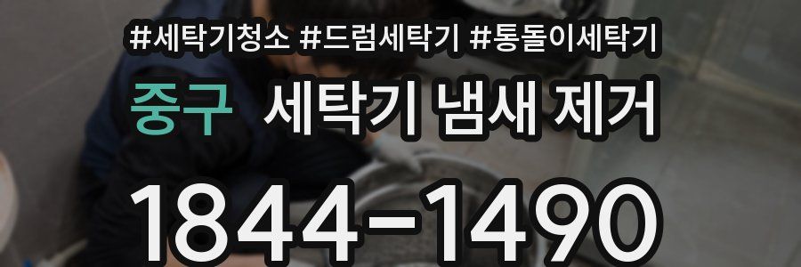 중구 세탁기 냄새 제거