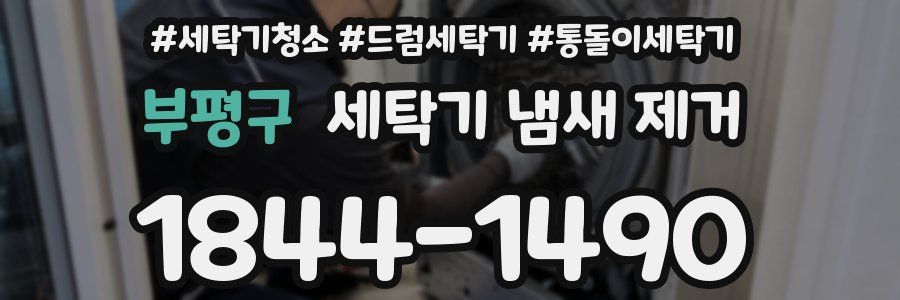 부평구 세탁기 냄새 제거