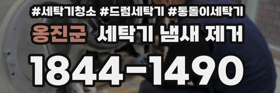 옹진군 세탁기 냄새 제거