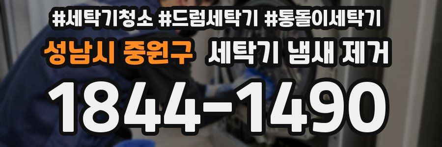 성남시 중원구 세탁기 냄새 제거