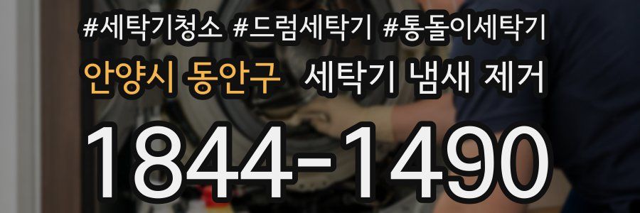 안양시 동안구 세탁기 냄새 제거