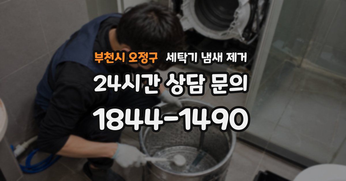 부천시 오정구 세탁기 냄새 제거