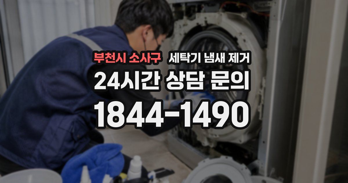 부천시 소사구 세탁기 냄새 제거