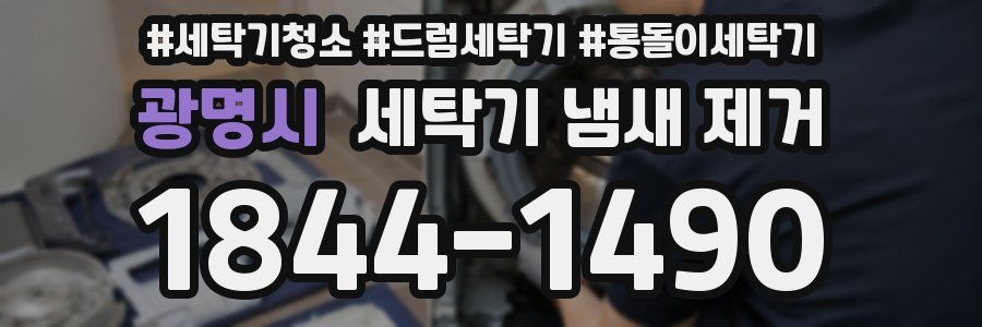 광명시 세탁기 냄새 제거