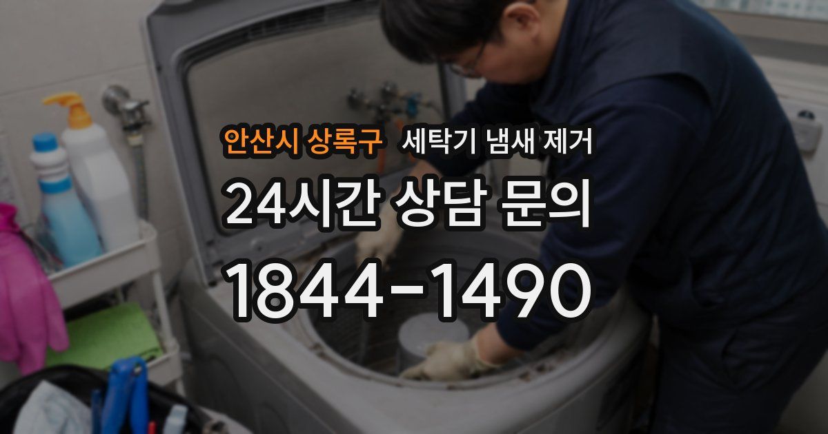 안산시 상록구 세탁기 냄새 제거