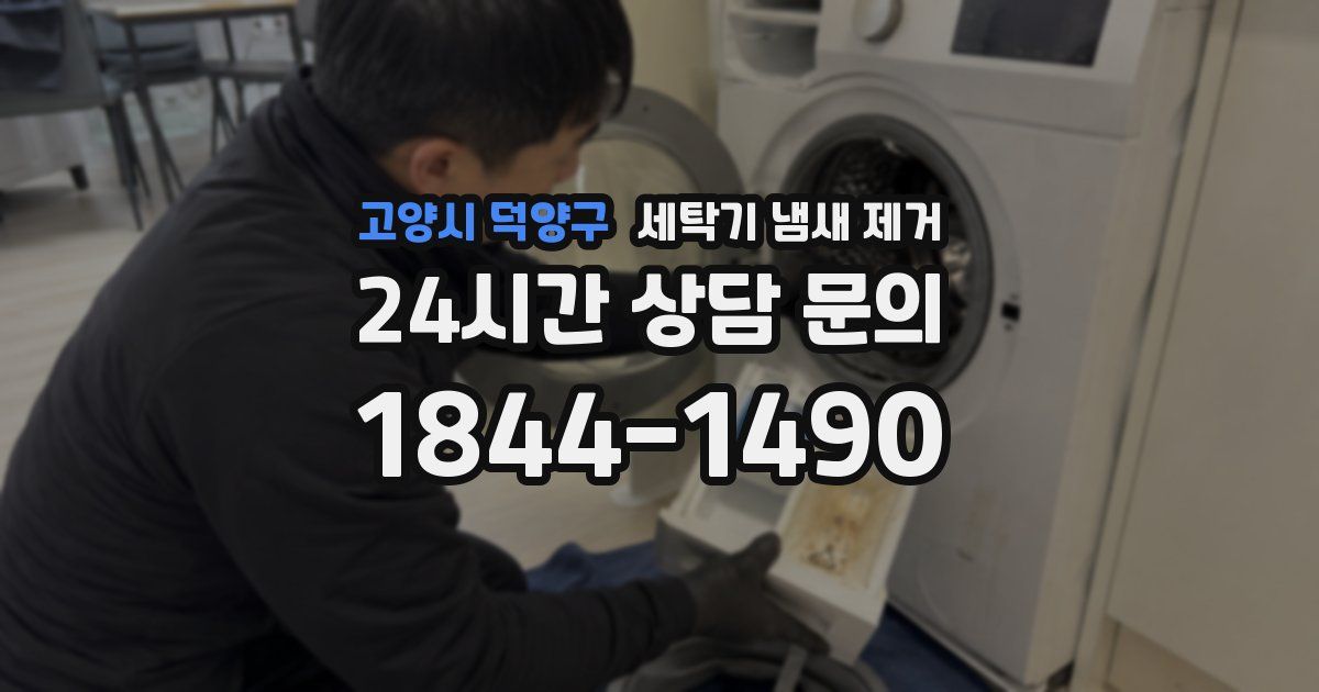 고양시 덕양구 세탁기 냄새 제거