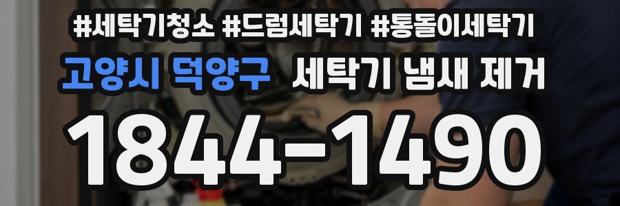 고양시 덕양구 세탁기 냄새 제거