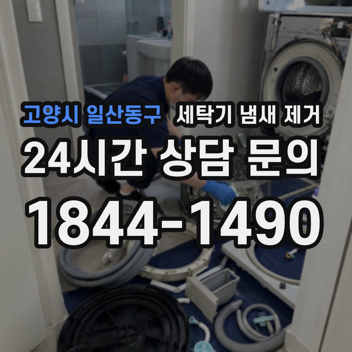 고양시 일산동구 세탁기 냄새 제거
