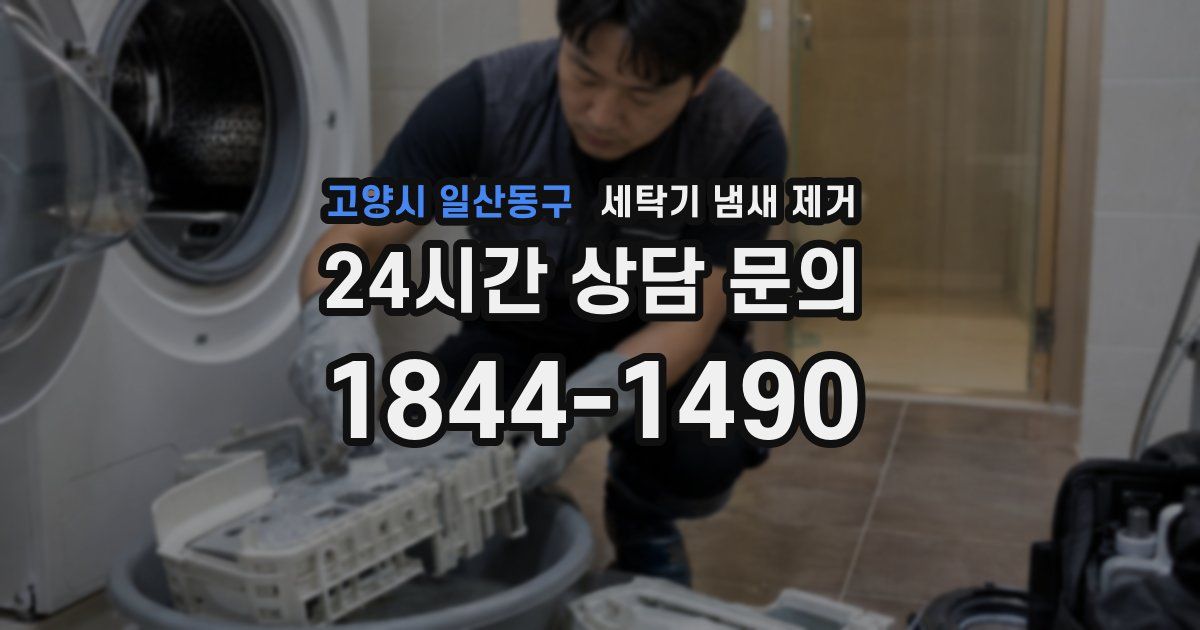 고양시 일산동구 세탁기 냄새 제거