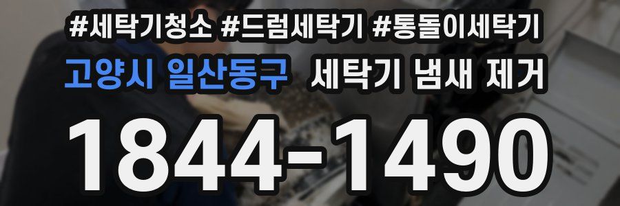 고양시 일산동구 세탁기 냄새 제거