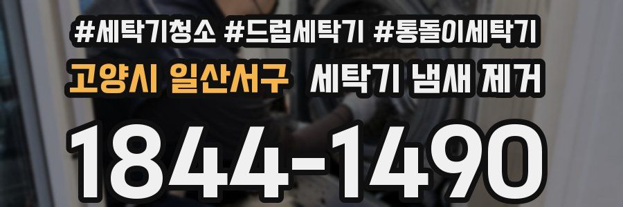 고양시 일산서구 세탁기 냄새 제거