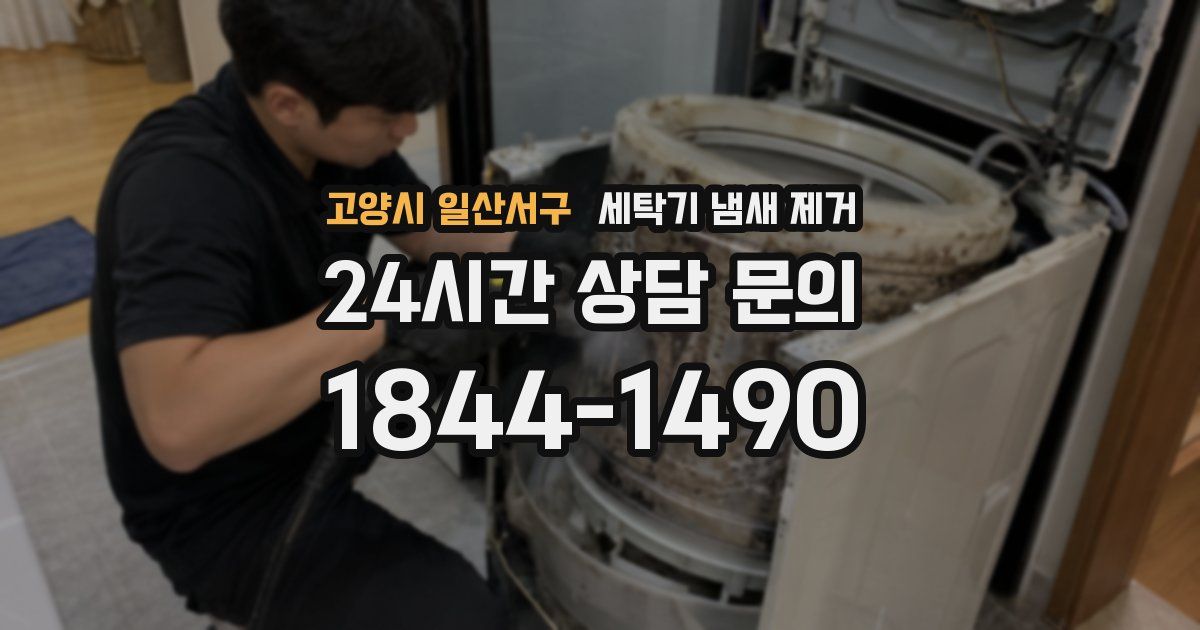 고양시 일산서구 세탁기 냄새 제거