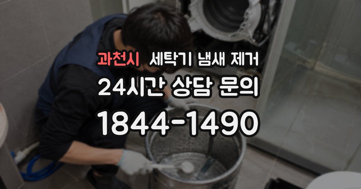 과천시 세탁기 냄새 제거