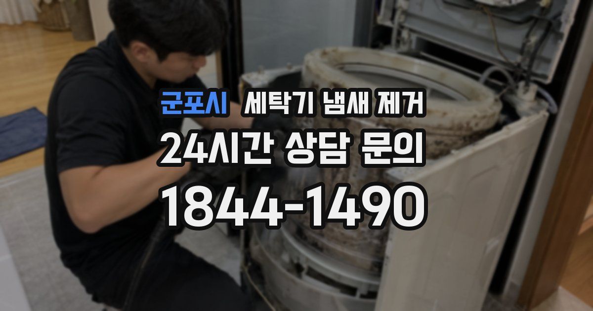 군포시 세탁기 냄새 제거