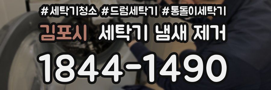 김포시 세탁기 냄새 제거