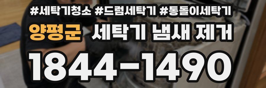 양평군 세탁기 냄새 제거