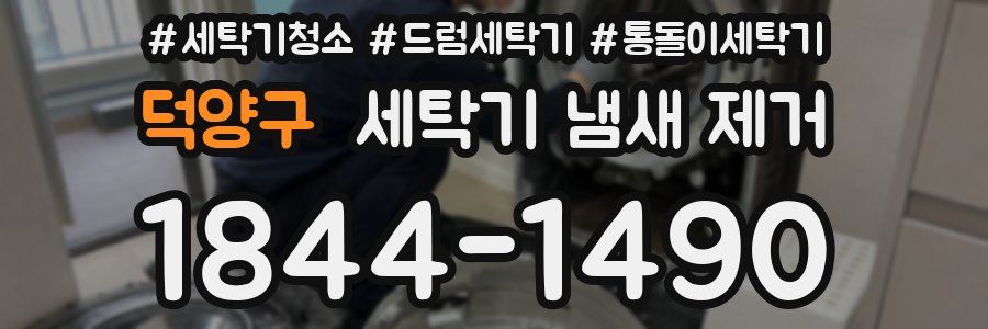 덕양구 세탁기 냄새 제거