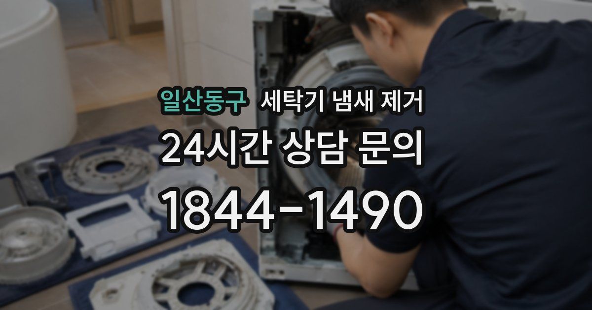일산동구 세탁기 냄새 제거