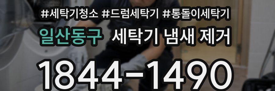 일산동구 세탁기 냄새 제거