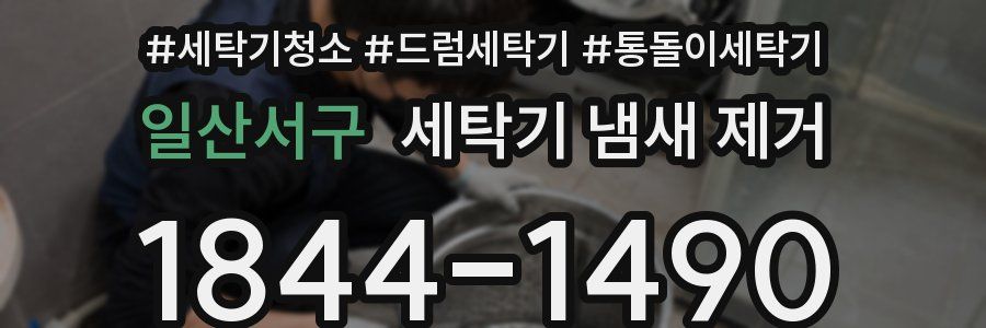 일산서구 세탁기 냄새 제거