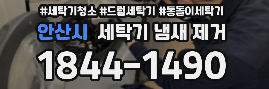 안산시 세탁기 냄새 제거