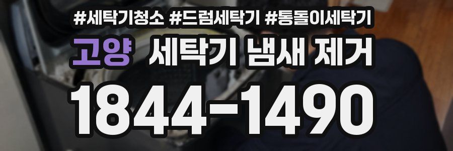 고양 세탁기 냄새 제거