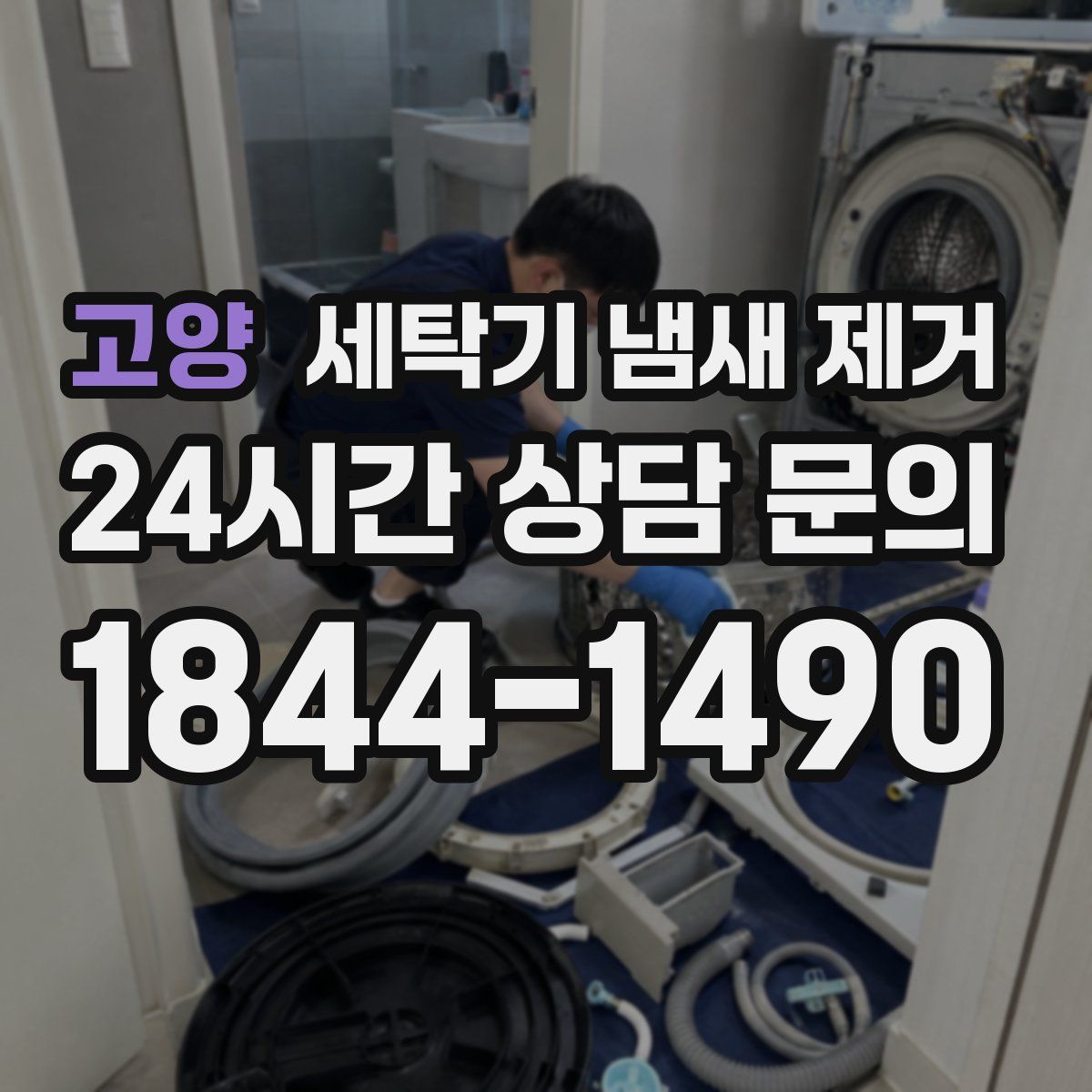 고양 세탁기 냄새 제거
