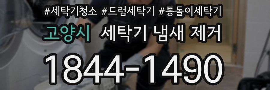 고양시 세탁기 냄새 제거