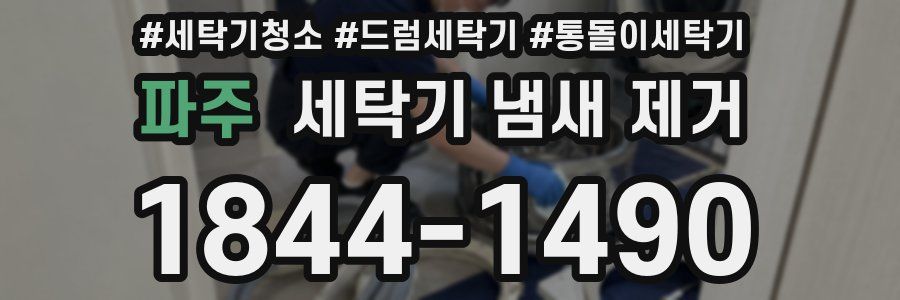 파주 세탁기 냄새 제거