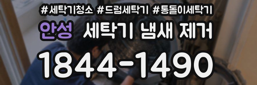 안성 세탁기 냄새 제거