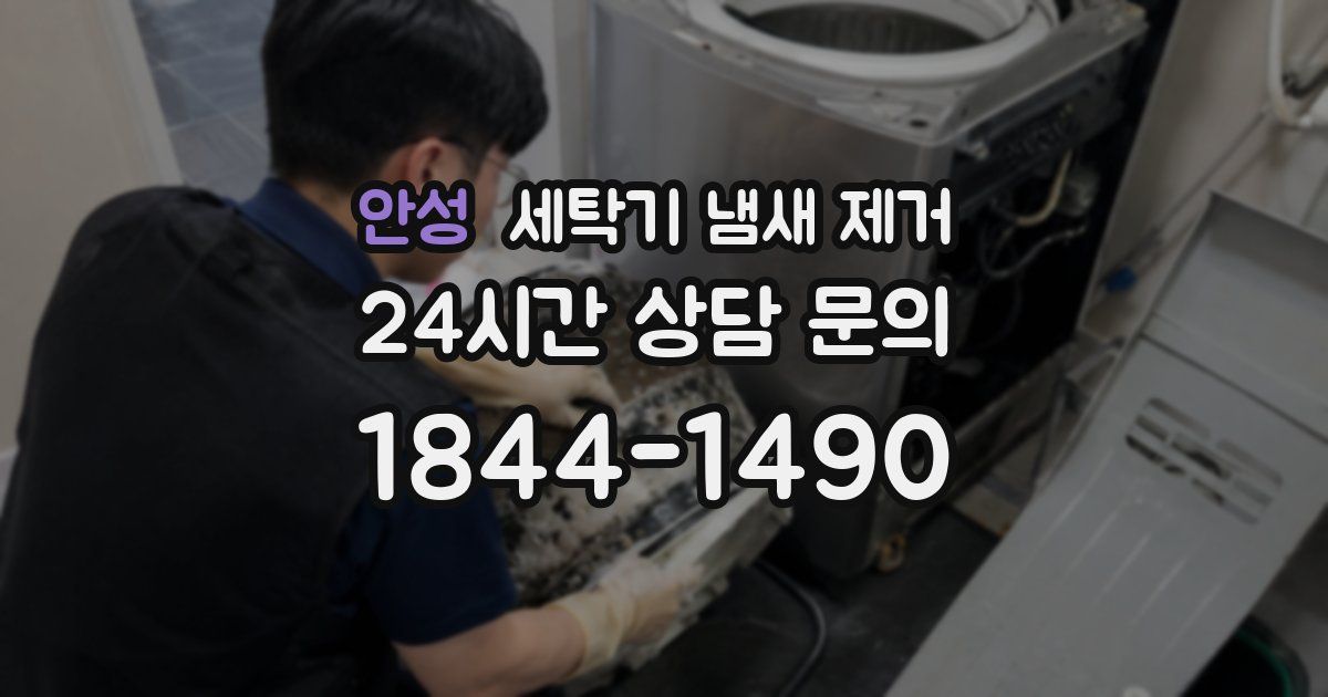 안성 세탁기 냄새 제거