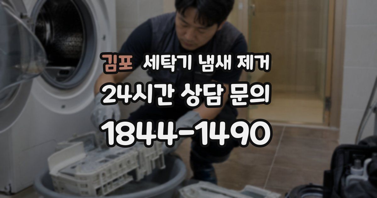 김포 세탁기 냄새 제거