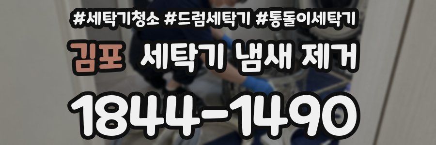 김포 세탁기 냄새 제거