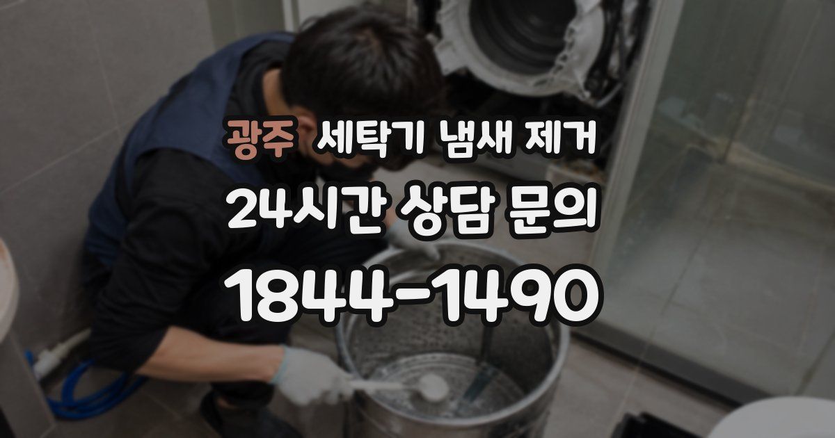 광주 세탁기 냄새 제거