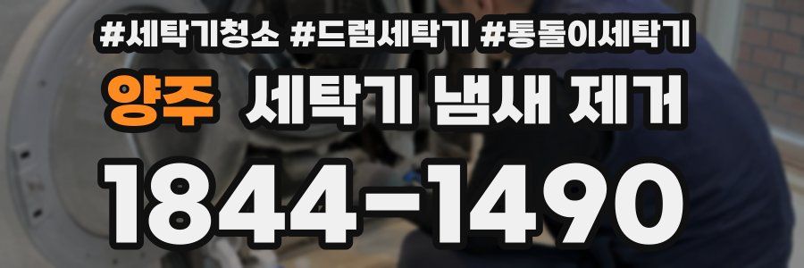 양주 세탁기 냄새 제거