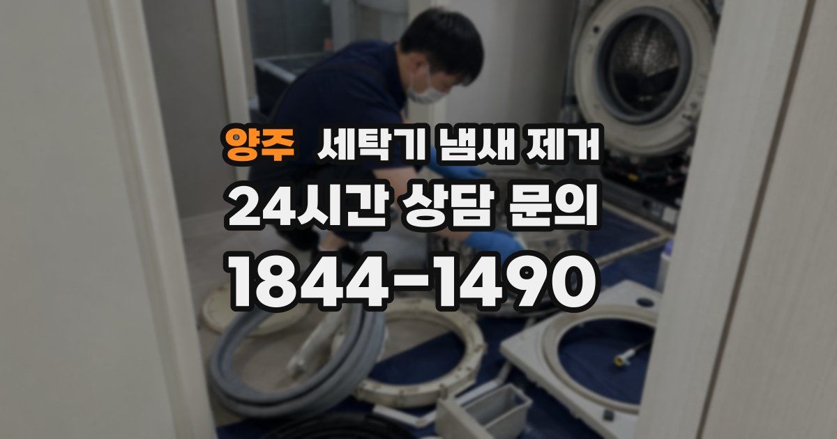 양주 세탁기 냄새 제거