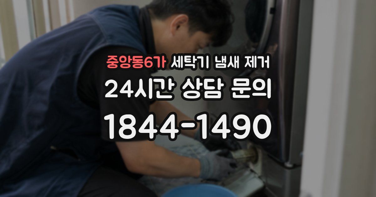 중앙동6가 세탁기 냄새 제거
