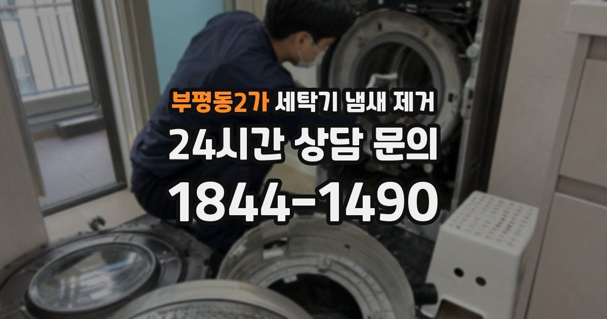 부평동2가 세탁기 냄새 제거